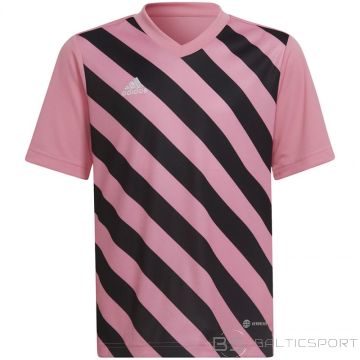 Adidas Entrada 22 Graphic Jersey Jr HC2632 (128 cm)