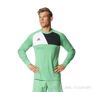 Džemperis adidas Assita 17 GK AZ5400 / Zaļa / 116 cm