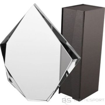 BS Stikla trofeja ar futrāli (nav pieejama)