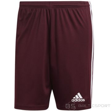 Adidas Squadra 21 Short M GN8083 (S)