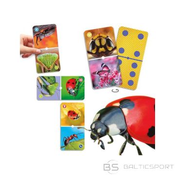 BS Kukainišu domino