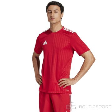 Adidas Campeon 25 JSY JF6058 T-shirt / red / M