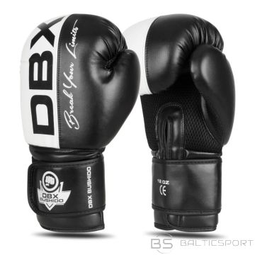 BS 10oz Boxing Gloves - Harmony - Valor Series (10 oz)