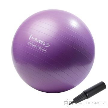 YB02N ФИОЛЕТОВЫЙ СПОРТИВНЫЙ МЯЧ 65 СМ