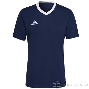 Adidas entrada 22 jsy y he1575 / Jūras zila / L
