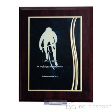 BS Plastmasas diploms ar iegravētu metāla plāksnīti (N/A)