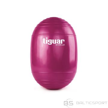 Tiguar Гимнастический мяч ovoball TI-V001S (Н/Д)
