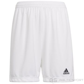 Cisterves Adidas Entrada 22 īss Y HG6292 / Balta / 152 cm