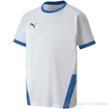Puma teamGOAL 23 Jersey Jr T-shirt 704160 12 (152cm)