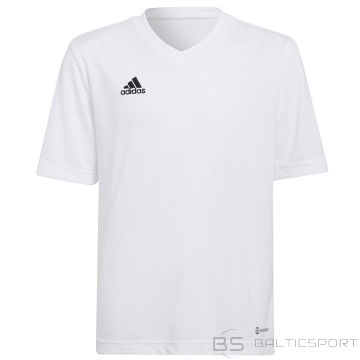 Koszulka adidas ENTRADA 22 JSY Y HC5054 / biały / 176 cm