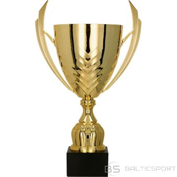 BS Zelta metāla krūze (nav pieejama)