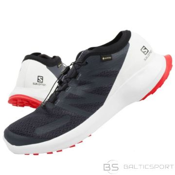 Salomon Sense Flow M 409672 GTX shoes (47)