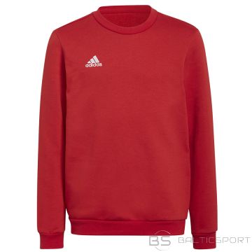 Adidas Džemperis ENTRADA 22 Sweat Top Y H57473 / sarkans / 152 cm
