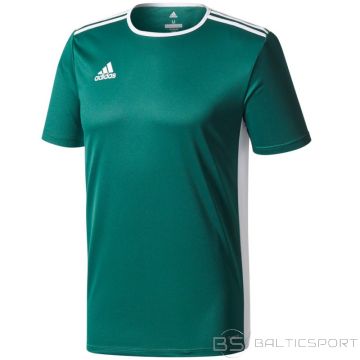 Adidas T-krekls Entrada 18 Jr. CD8358 (116cm)