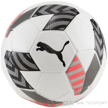 Puma Футбольный мяч King 83997 02 (5)