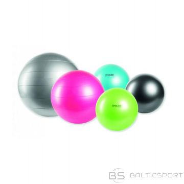 BS Fitnesa bumba Tehno Lite (Classic) 55cm