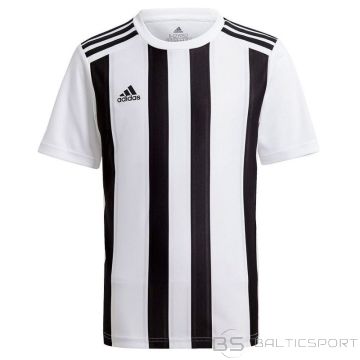 Adidas Svītraina 21 JSY M GV1377 Tee (M)