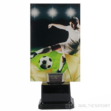 Tryumf Triumfa plastmasas trofeja / 22 cm /