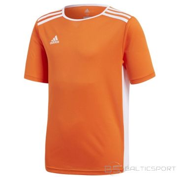 Adidas Футболка Entrada 18 JSY Y Jr CF1043 (140 см)