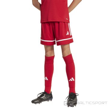 Adidas SQUADRA 25 JN5456 shorts / red / 152 cm
