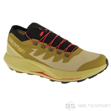 Shoes Salomon Pulsar Trail-Pro M 415936 (42)