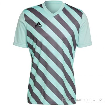 T-shirt adidas Entrada 22 Graphic Jersey M HF0119 (XL)