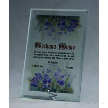 BS Stikla trofeja ar LuxorJet krāsu apdruku (nav pieejama)