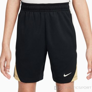 Nike Шорты Strike FN2401-013 / Черные / XL