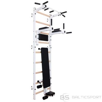Benchk GYMNASTIC LADDER WITH A BAR, A BARREL FOR EXERCISES AND A BENCH 313W