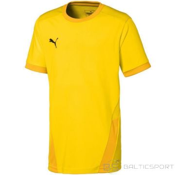 Puma teamGOAL 23 Jersey Jr T-shirt 704160 07 (116cm)