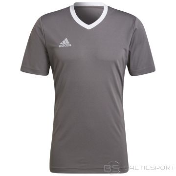 Adidas Entrada T-krekls 22 JSY Y HE1574 / Pelēka / L