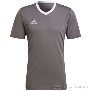 Adidas T-krekls Entrada 22 Jersey M HE1574 (XS)