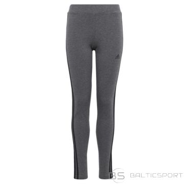 Leggings adidas 3 Stripes TIG Jr IC3626 (170 cm)