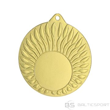 BS Zelta medaļa ar vietu 25 mm emblēmai - tērauds (nav pieejams)