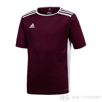 Adidas Футболка Entrada 18 Jr CE9564 (116)