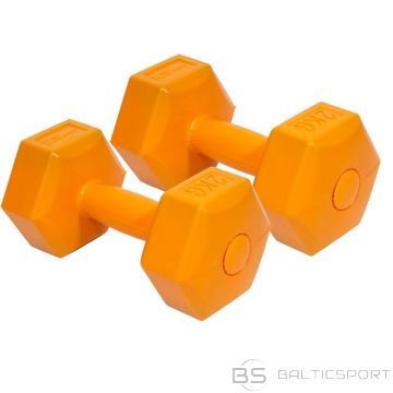 Enero Fit KOMPOZĪTA KOMPLEKTS 2x2 KG