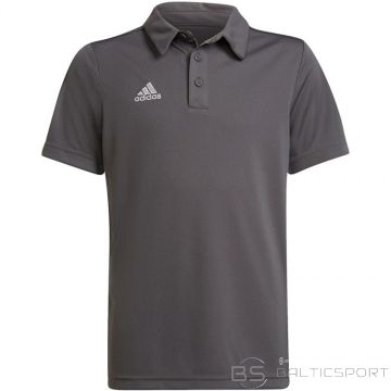 Adidas Футболка Entrada 22 Polo Jr H57485 (164 см)