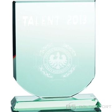 BS 3D engraved glass trophy with case (-)