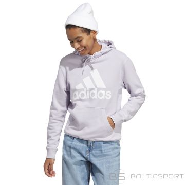 Adidas Big Logo FT R HD Sweatshirt IC6899 / gray / S