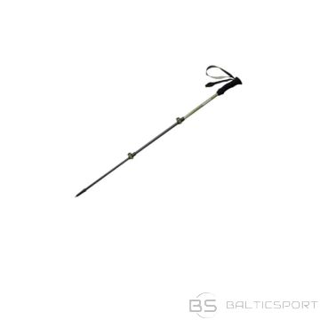 Naturehike Hoar sticks ext-1 oglekļa šķiedras cnk2300ds010-priedes zaļš (nav pieejams)