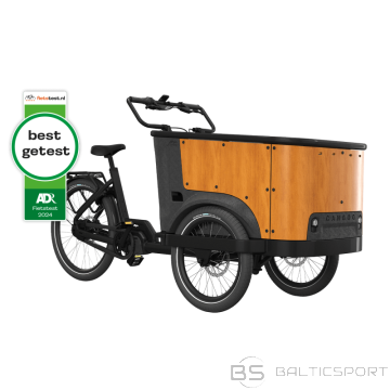 Elektriskais velosipēds CANGOO Buckle Up