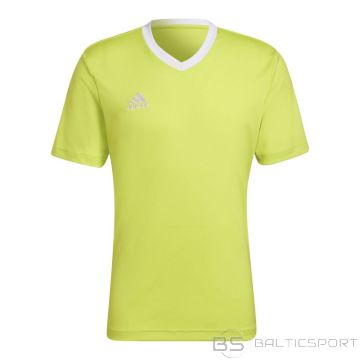 Adidas Тройник Entrada 22 M HC5077 (XS (168см))