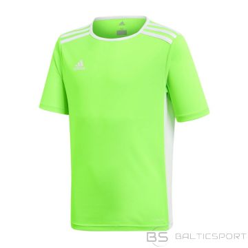 Adidas Футболка Entrada 18 Jr CE9755 (116)