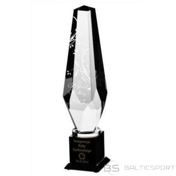 BS Gravēta stikla trofeja ar korpusu + krāsas pildījums (nav pieejams)