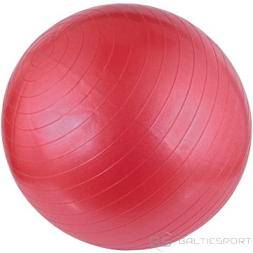 Gym Ball AVENTO 42OA 55cm Pink