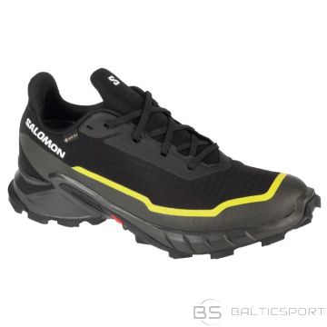 Salomon Туфли Alphacross 5 GTX M 474604 (43 1/3)