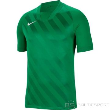 Nike Футболка Dri Fit Challange 3 Y Jr BV6738 302 (S)