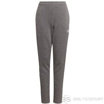 Adidas TIRO 21 Sweat Pant Junior GP8809 / gray / 152 cm