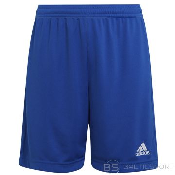Spodenki adidas ENTRADA 22 Short Y HG6291 / niebieski / 176 cm