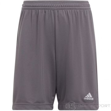 Adidas Entrada 22 Jr H57507 shorts (176cm)